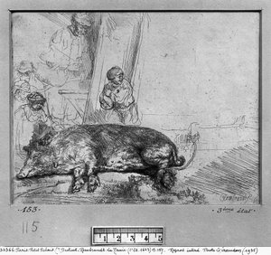 The Sow, 1643 by Rembrandt van Rijn